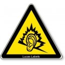 Warning Loud Noise